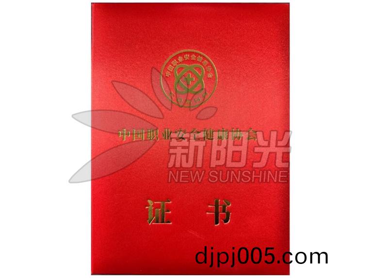 中(zhong)國職業安全(quan)健康(kang)協(xie)會科學技(ji)術獎